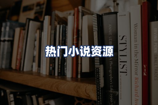 热门小说资源